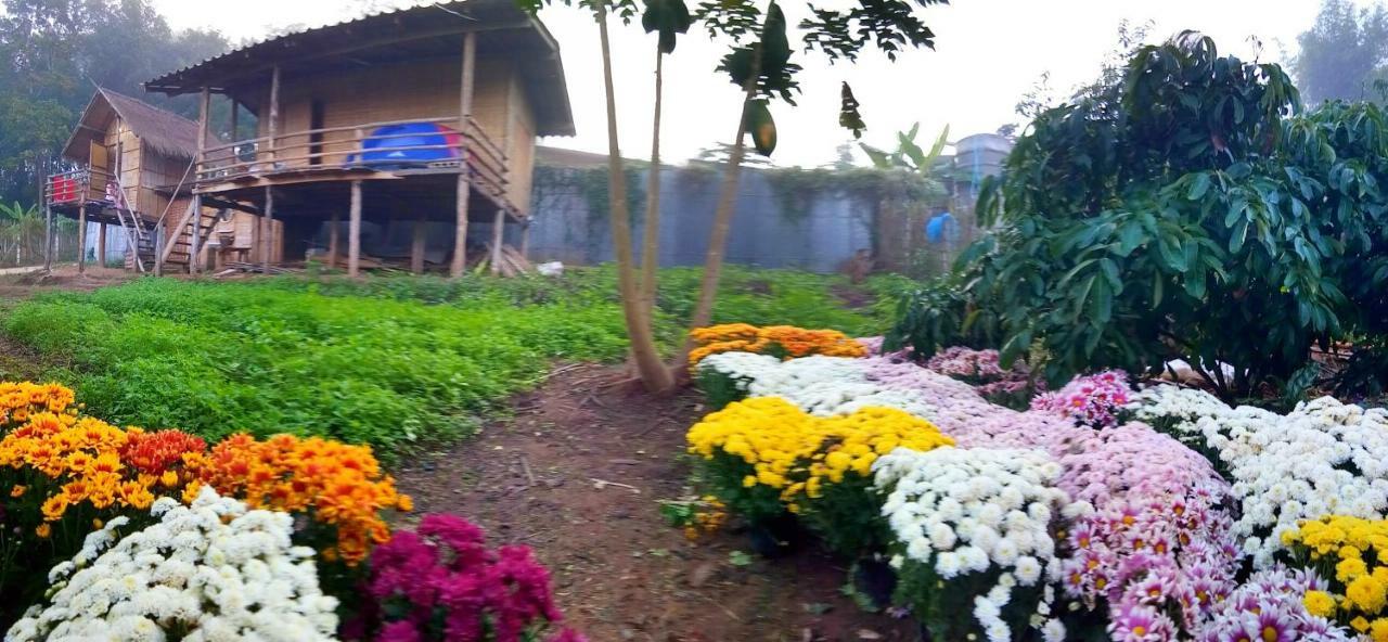 Baan Aingdoi Homestay, Chiang Dao Exteriör bild